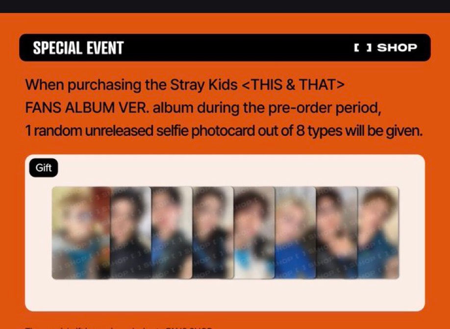 STRAY KIDS - FANS SHOP (fans album ver.) THIS & THAT POB