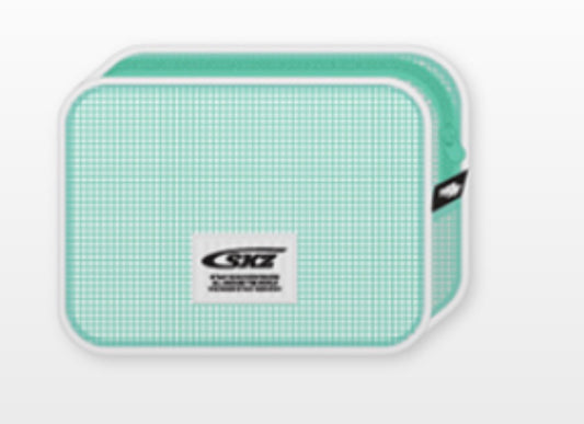 STRAY KIDS - MESH POUCH