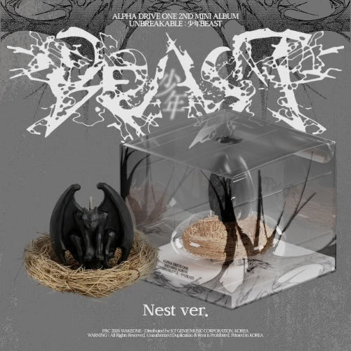 ALPHA DRIVE ONE (ALD1) - UNBREAKABLE : 少年BEAST [Nest LIMITED]