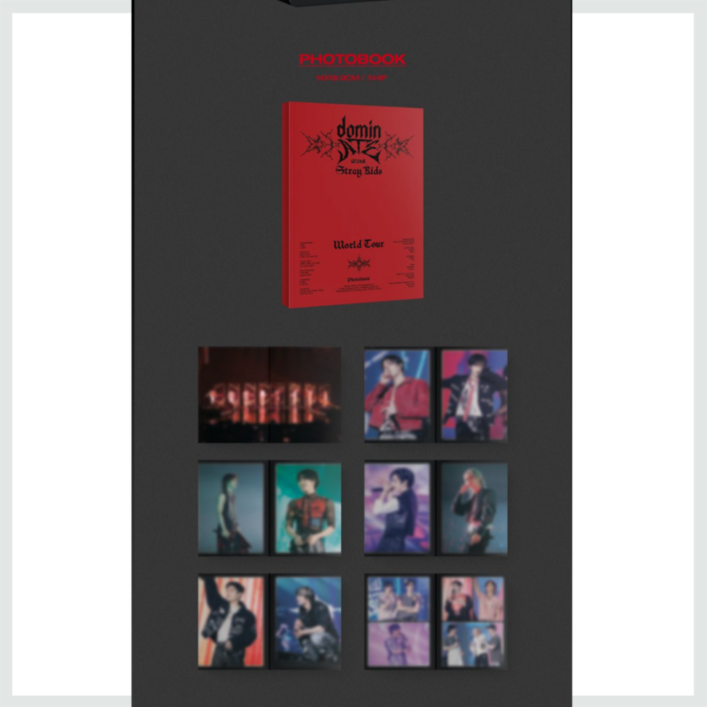 STRAY KIDS - World tour DOMINATE in Seoul (DVD)